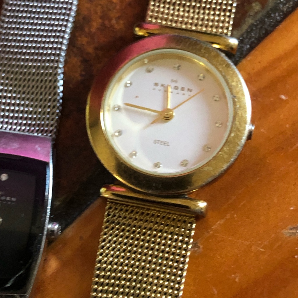 2 Skagen Watches